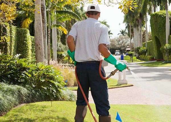 About Ashland KS Pest Control